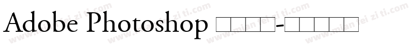 Adobe Photoshop 此文本图字体转换